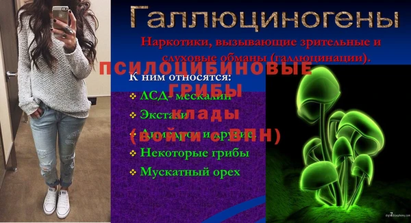 амф Алексеевка