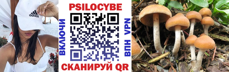 Псилоцибиновые грибы мицелий  Краснослободск 